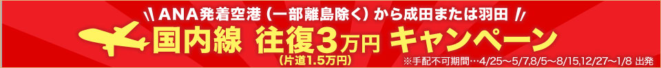 国内線 往復3万円キャンペーン