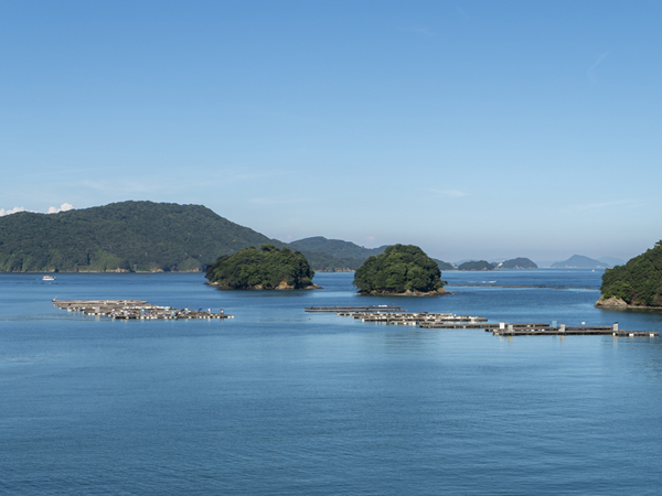 鳥羽港（イメージ）