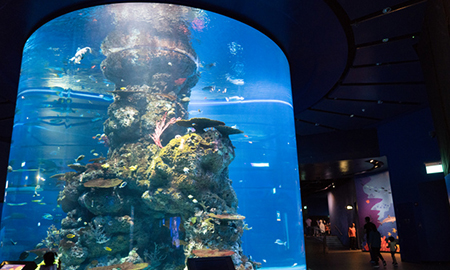 シーアクアリウム（イメージ）