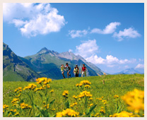 四季の魅力 アルプスの花々｜スイス旅行・ツアー・観光│クラブツーリズム