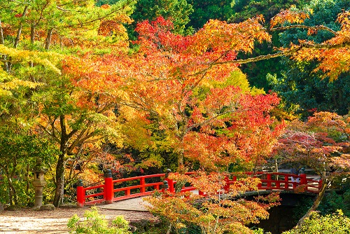 宮島・紅葉谷公園