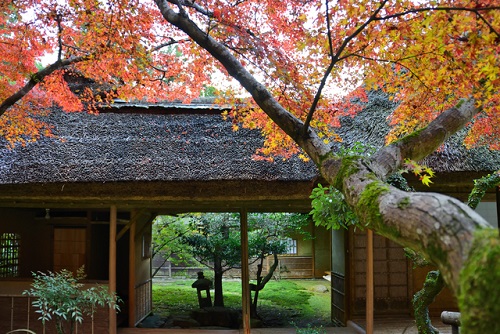 紅葉の名所「九年庵」