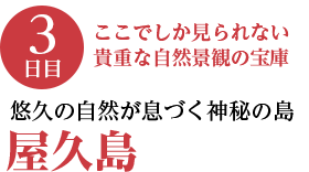 3日目／悠久の自然が息づく神秘の島・屋久島