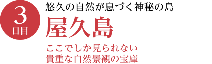 3日目／悠久の自然が息づく神秘の島・屋久島