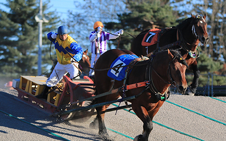 迫力の競馬風景を間近でお楽しみ（イメージ）