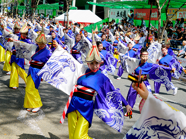 高知よさこい祭りツアー特集