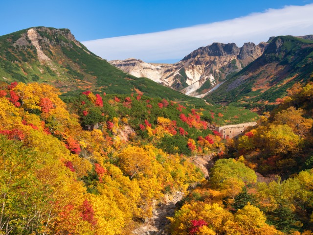 （イメージ）※例年の紅葉の見頃：9月中旬～9月下旬