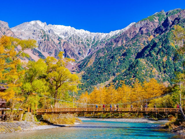 （イメージ）※例年の紅葉の見頃：10月中旬～10月下旬