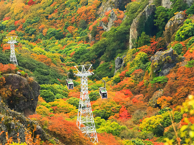 寒霞渓の紅葉（イメージ）