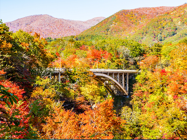 鳴子峡の紅葉（イメージ）