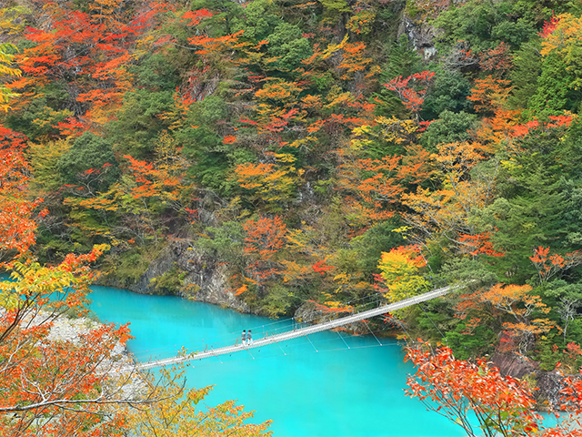 寸又峡の紅葉（イメージ）