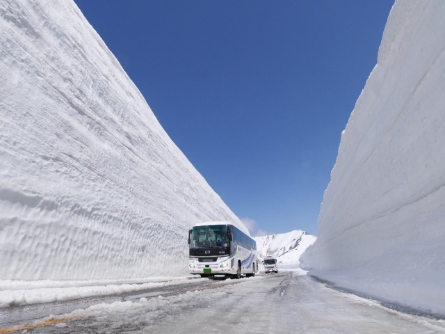 (イメージ)※雪の大谷ウォークは例年4月中旬~6月25日を予定しております。壁の高さは積雪量で変わります