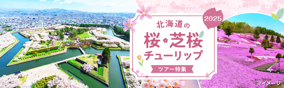 【東海発】北海道の桜・芝桜・チューリップツアー・旅行 2025