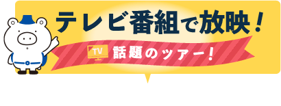 テレビ番組で放映された話題のツアー