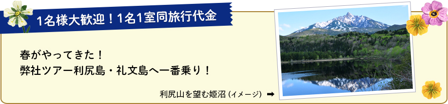 春がやってきた! 弊社ツアー利尻島・礼文島へ一番乗り!