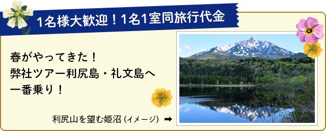 春がやってきた! 弊社ツアー利尻島・礼文島へ一番乗り!
