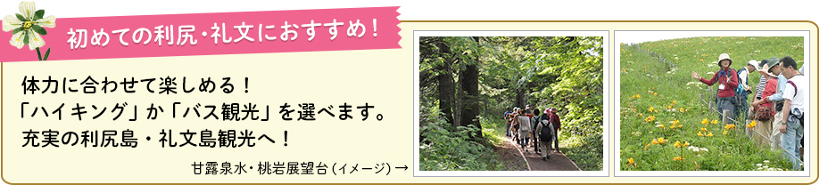 初めての利尻礼文におすすめ!体力にあわせて「ハイキング」か「バス観光」を選べます!