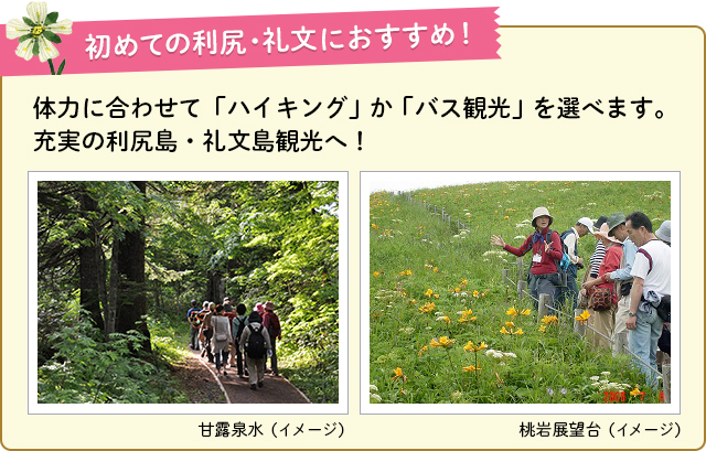 初めての利尻礼文におすすめ!体力にあわせて「ハイキング」か「バス観光」を選べます!