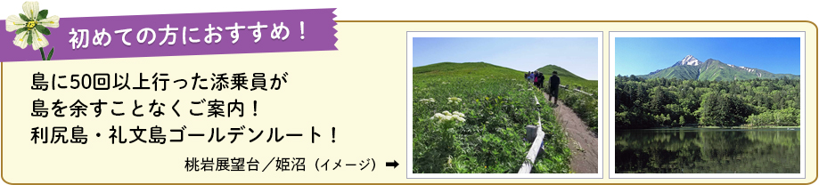 初めての方におすすめ!島に50回以上行った添乗員が島を余すことなくご案内!