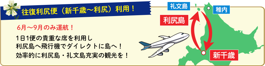 6月～9月のみ運航！1日1便の貴重な席を利用し利尻島へ飛行機でダイレクトに島へ！効率的に利尻島・礼文島充実の観光を！