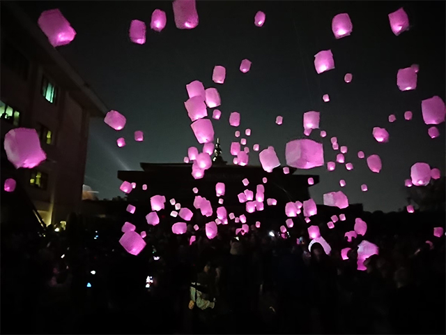 たどつ桜んたんページェント 旅行・ツアー