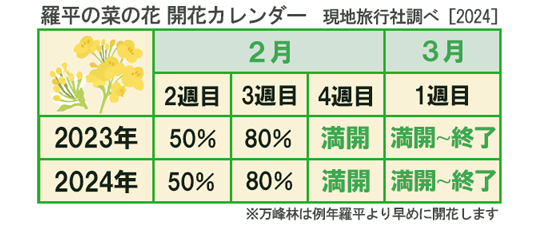 羅平の菜の花開花カレンダー