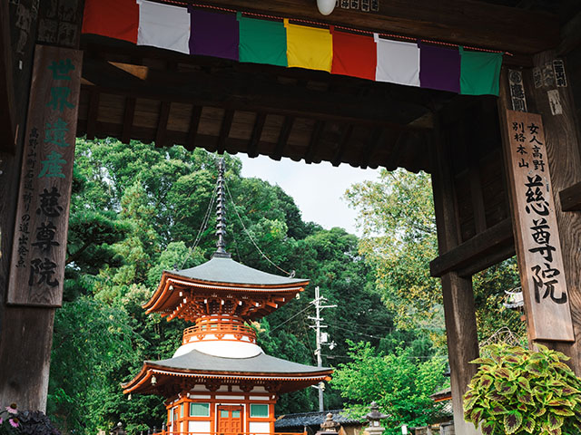 慈尊院(イメージ)