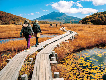 尾瀬特集 旅行・ツアー