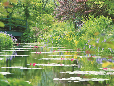 こだわりの花めぐり旅 旅行・ツアー