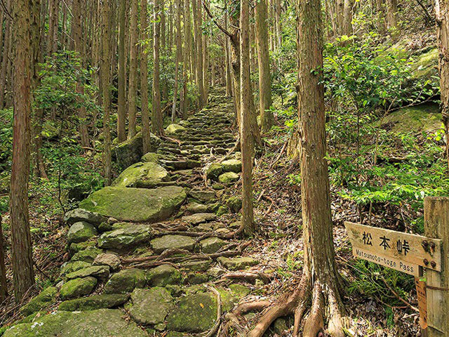 熊野古道・伊勢路いいとこどり歩き