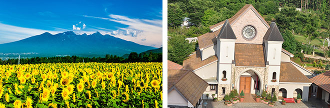左：明野ひまわり畑（イメージ）※ひまわりの見頃は例年7月下旬～8月中旬 右：ハイジの村（イメージ）