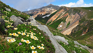 大雪山（イメージ）