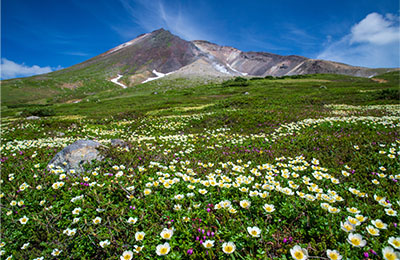 大雪山（イメージ）