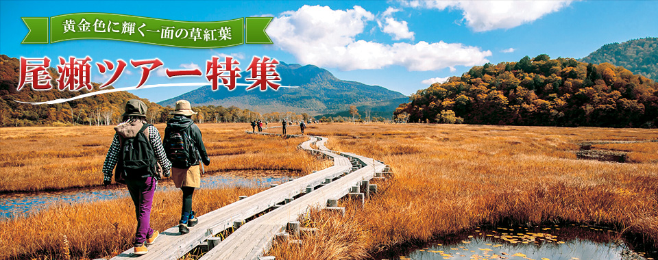 尾瀬旅行・ツアー 2026 ハイキング・登山