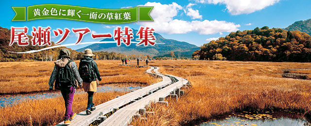 尾瀬旅行・ツアー 2026 ハイキング・登山
