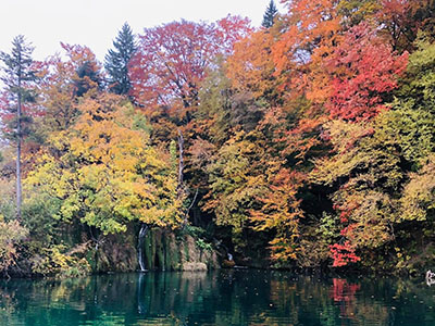 プリトヴィツェ湖群国立公園 ハイキング（2025年10月ツアー中に添乗員が撮影）