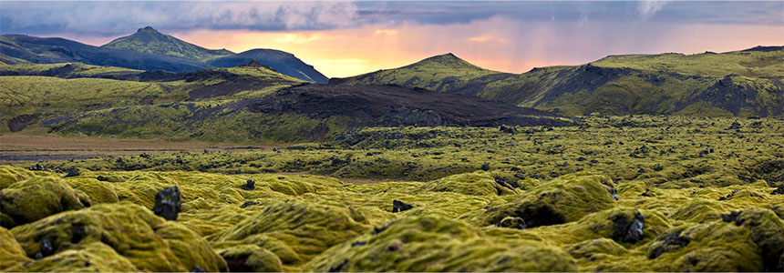 モコモコの苔と白夜（イメージ）
