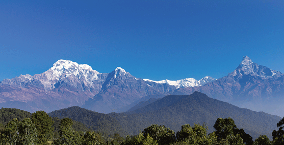 オーストラリアンキャンプ（イメージ）