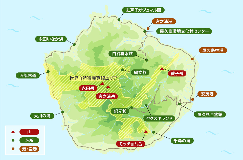 観光ガイド 世界自然遺産 屋久島ツアー 旅行 クラブツーリズム