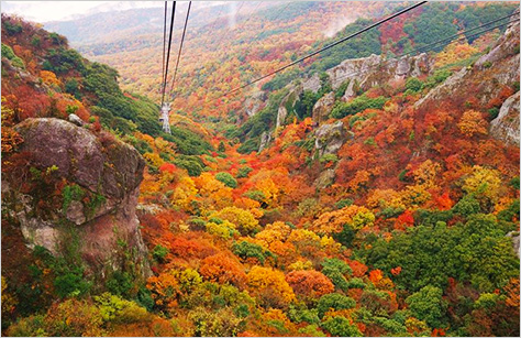 中国 四国エリアの紅葉スポット 秋の紅葉ツアー 旅行 クラブツーリズム