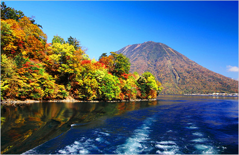 関東エリアの紅葉スポット 秋の紅葉ツアー 旅行 クラブツーリズム