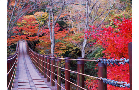 関東エリアの紅葉スポット 秋の紅葉ツアー 旅行 クラブツーリズム