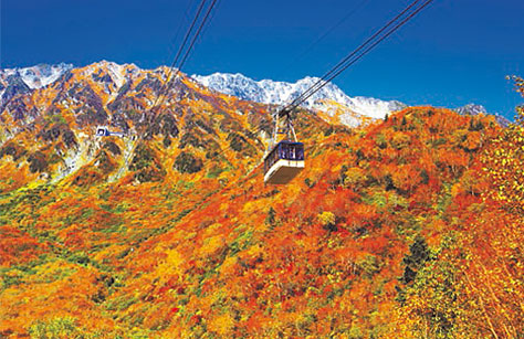 秋の紅葉ツアー 旅行2020 クラブツーリズム