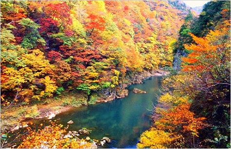 東北エリアの紅葉スポット 秋の紅葉ツアー 旅行2020 クラブツーリズム