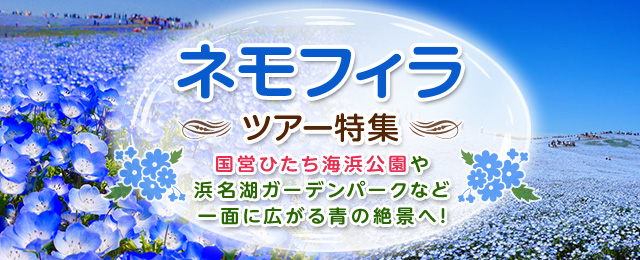 神奈川 町田市含む 発 ネモフィラツアー 旅行 クラブツーリズム