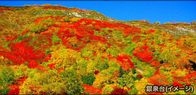 紅葉の北海道 大雪山旅行 ツアー 特集 クラブツーリズム