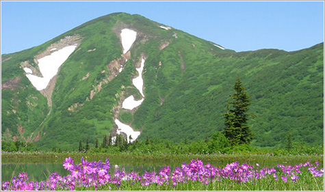 火打山【ひうちやま】登山｜新潟県・日本百名山ツアー｜クラブツーリズム