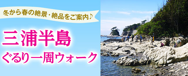 三浦半島ぐるり一周ウォークツアー 旅行 クラブツーリズム