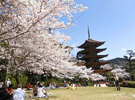 瑠璃光寺五重塔（イメージ）