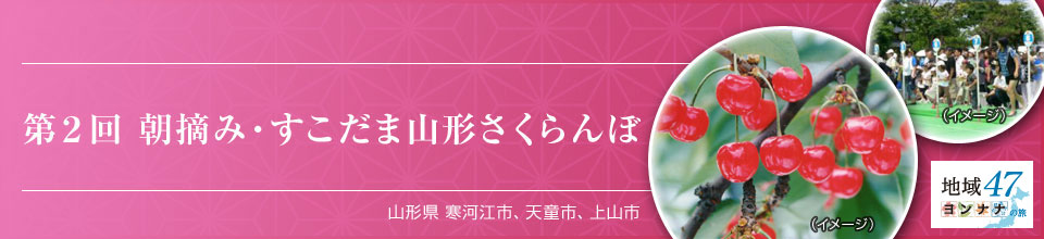 第2回 朝摘み・すこだま山形さくらんぼ